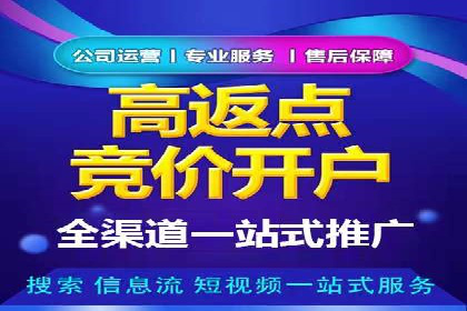 竞价广告的投放策略调整：基于数据反馈的实战案例