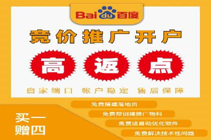 百度竞价排名实战：关键词优化与数据分析案例
